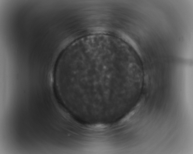 X0000094230059200711161917