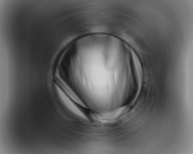 X0000094230060200711161917