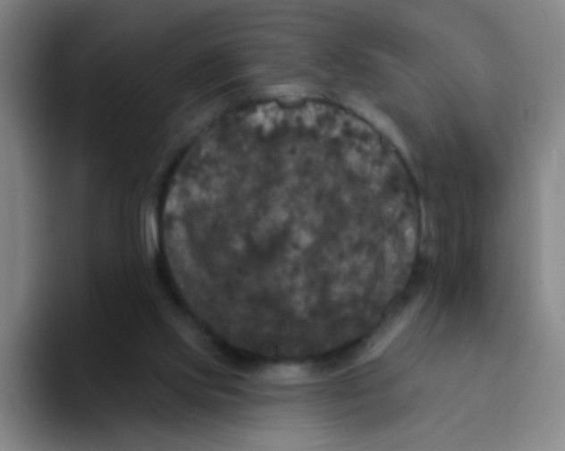 X0000094230061200711161917