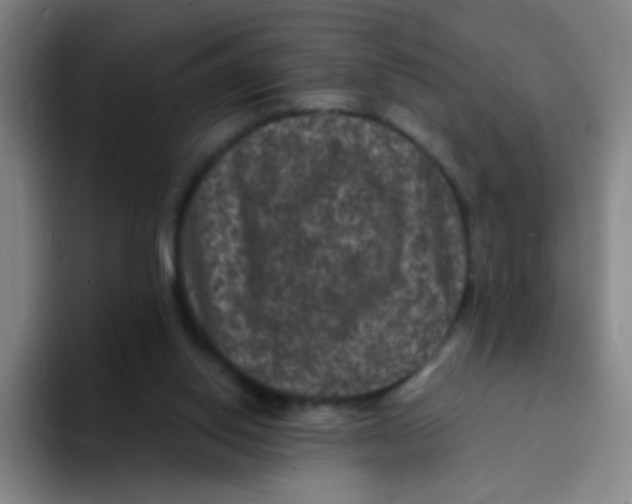 X0000094230062200711161917