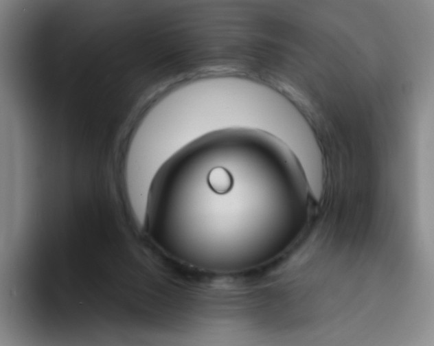X0000094230064200711161917