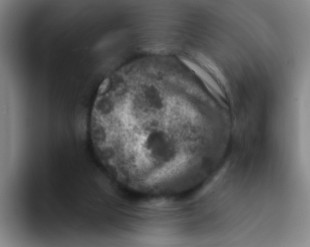X0000094230065200711161917