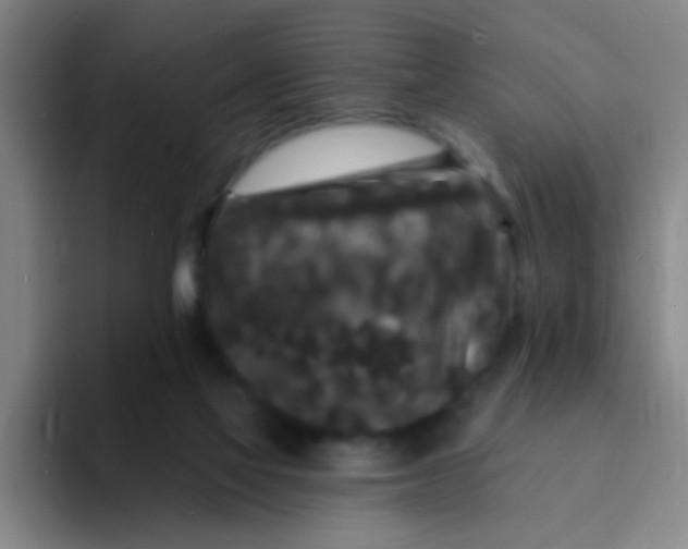 X0000094230069200711161917