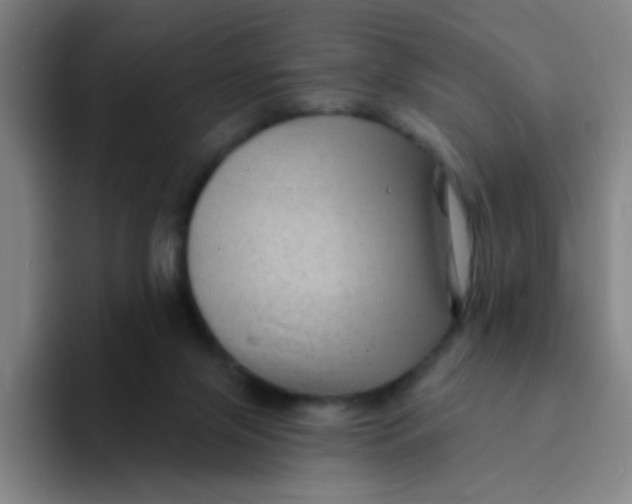 X0000094230071200711161918