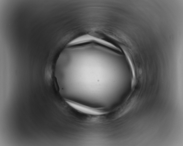 X0000094230072200711161918