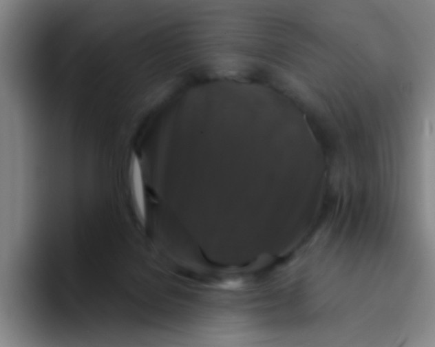 X0000094230076200711161918