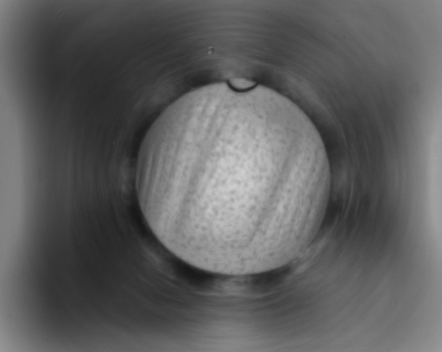 X0000094230078200711161918