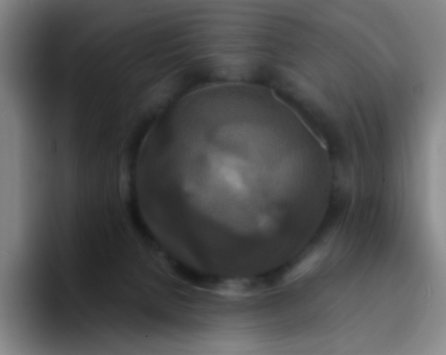 X0000094230080200711161918