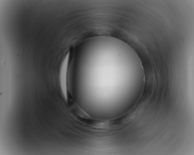 X0000094230084200711161918