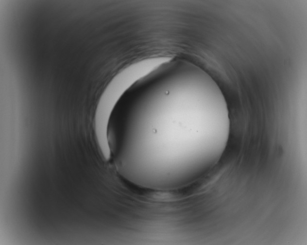X0000094230085200711161918
