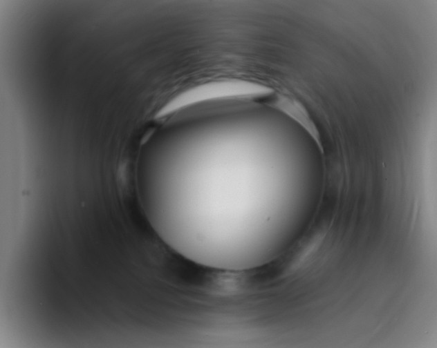 X0000094230088200711161918