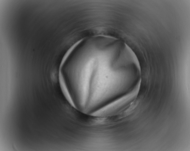 X0000094230090200711161918