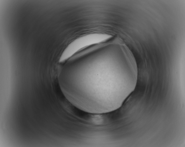 X0000094230091200711161918