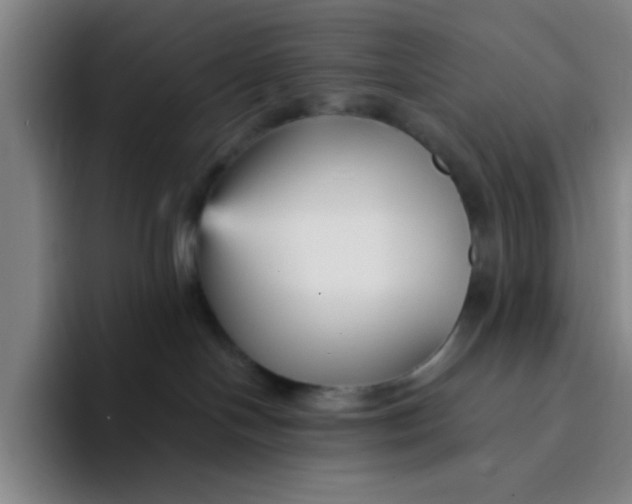 X0000094230094200711161918