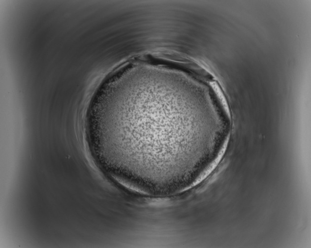 X0000094230097200711161917