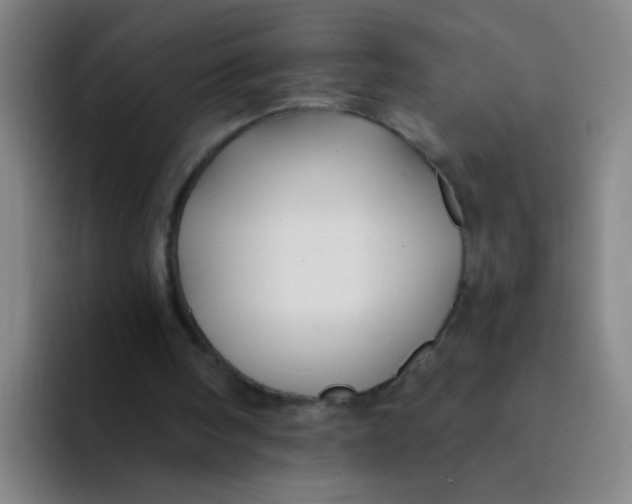 X0000094230098200711161917
