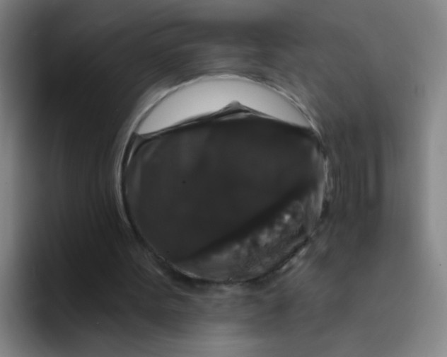 X0000094230099200711161917