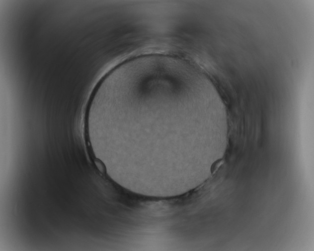 X0000094230100200711161917