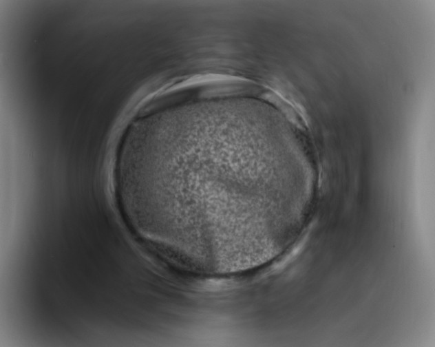 X0000094230101200711161917