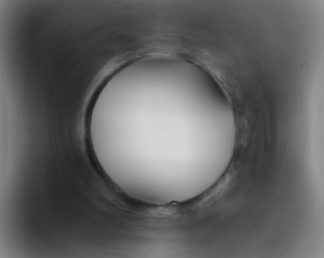 X0000094230102200711161917