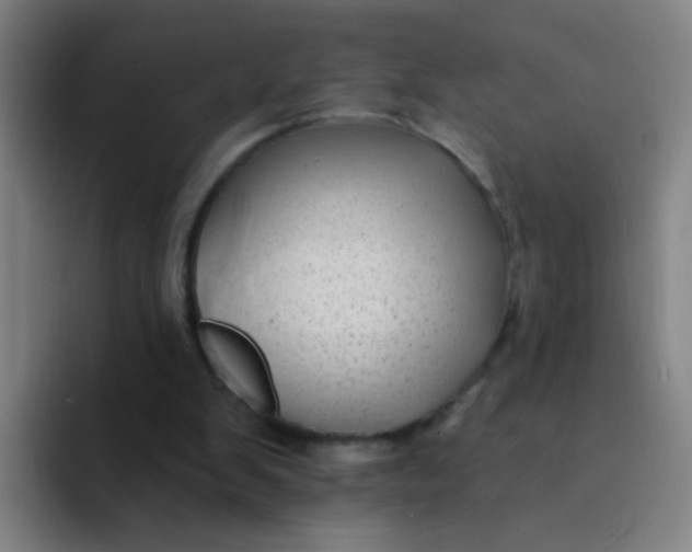 X0000094230103200711161917