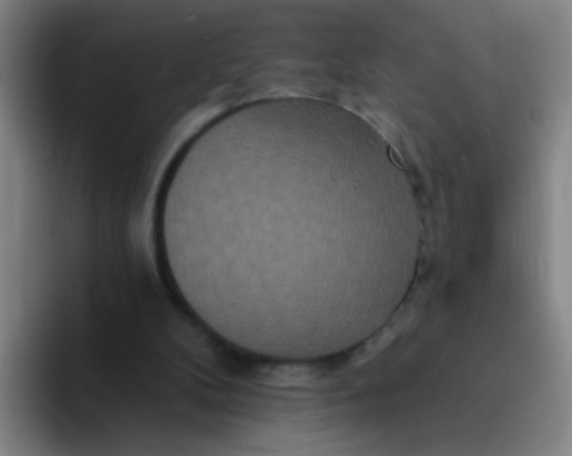 X0000094230104200711161917