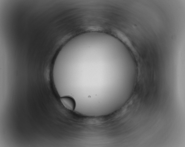 X0000094230106200711161917