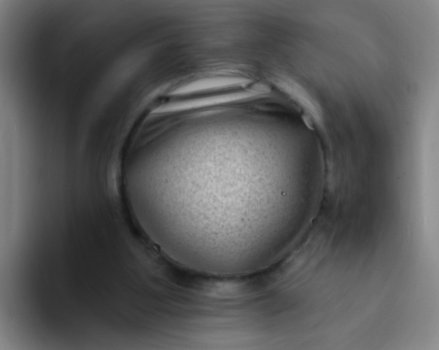 X0000094230107200711161917