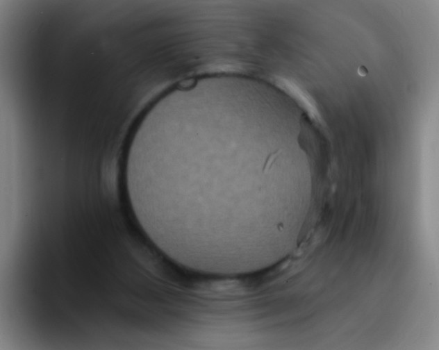 X0000094230108200711161917