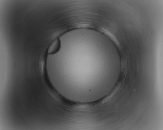 X0000094230110200711161917