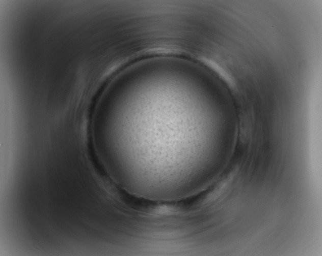 X0000094230111200711161917