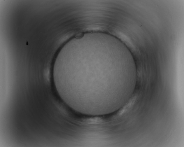 X0000094230112200711161917
