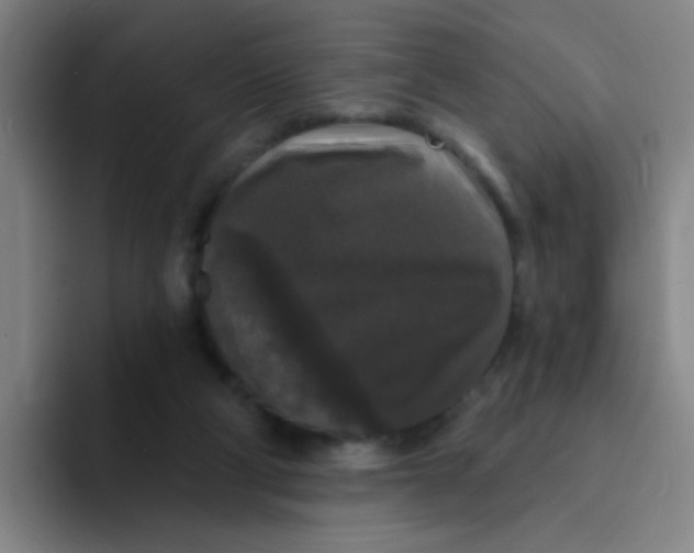 X0000094230114200711161917