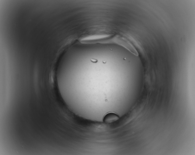 X0000094230115200711161917