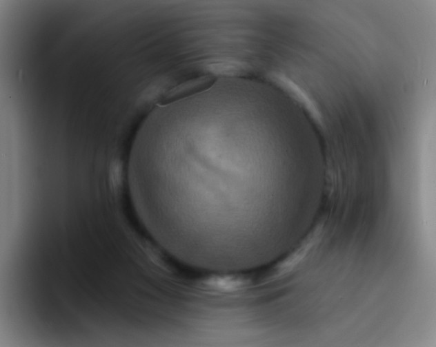 X0000094230117200711161917