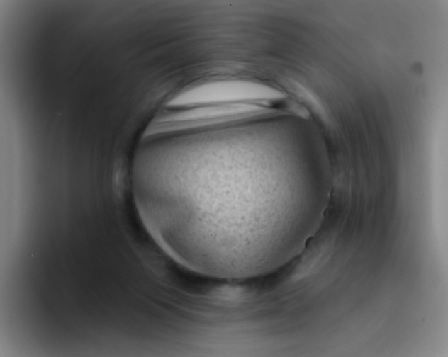 X0000094230119200711161917