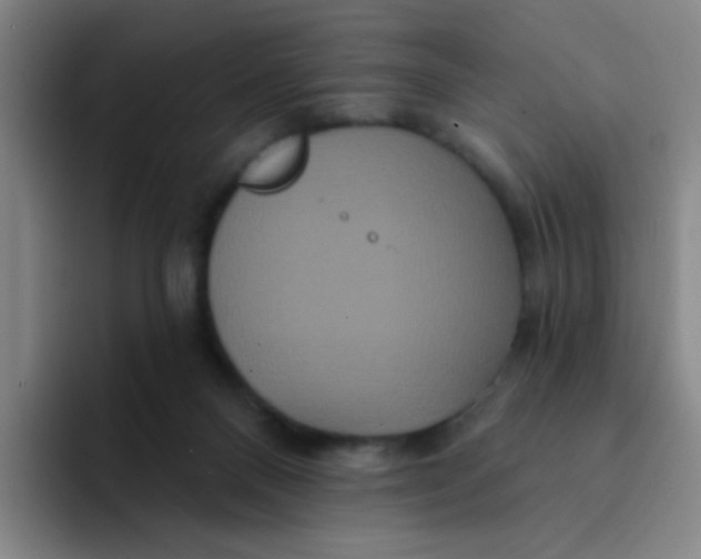 X0000094230120200711161917