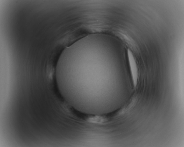 X0000094230125200711161917