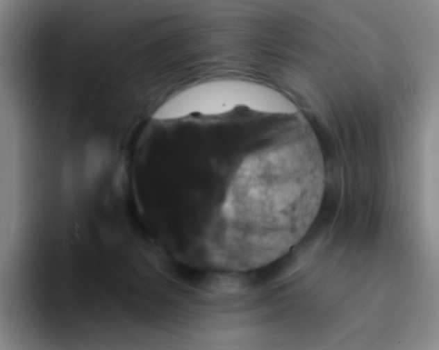 X0000094230127200711161917