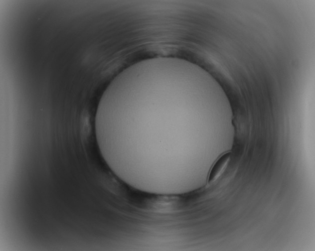 X0000094230128200711161917