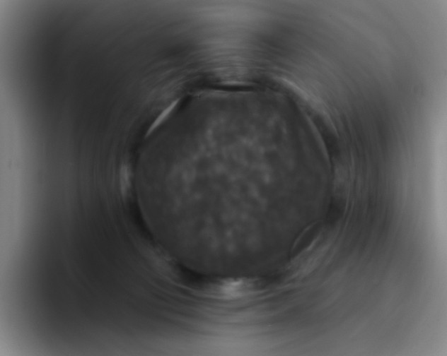 X0000094230130200711161917