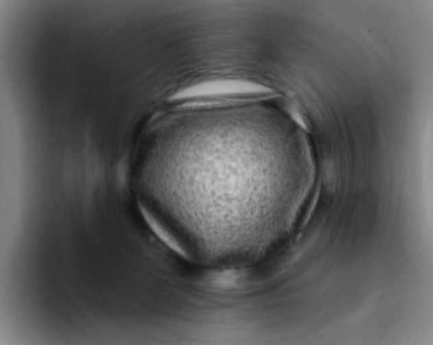 X0000094230131200711161917