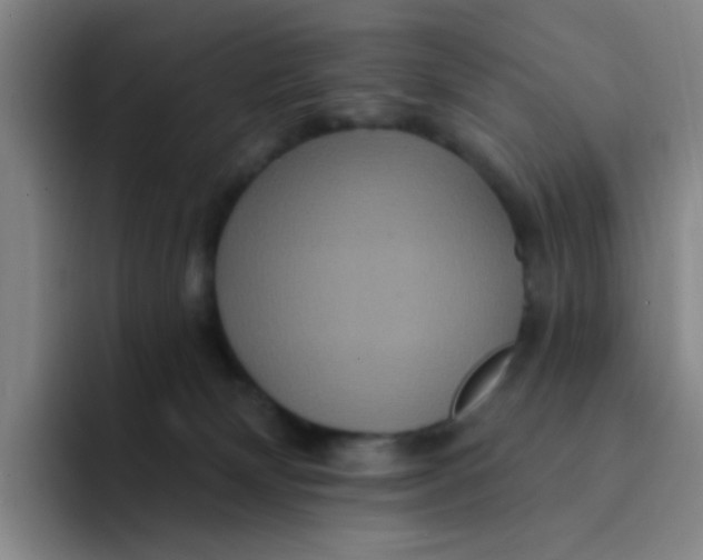X0000094230132200711161917