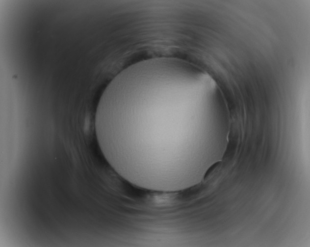 X0000094230134200711161917