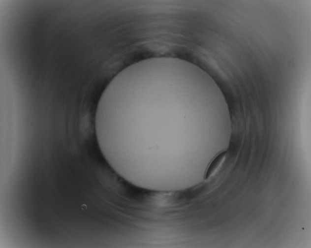X0000094230136200711161917