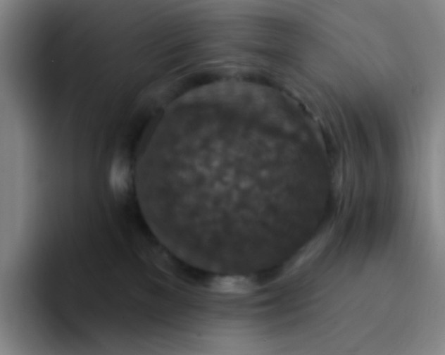 X0000094230137200711161917