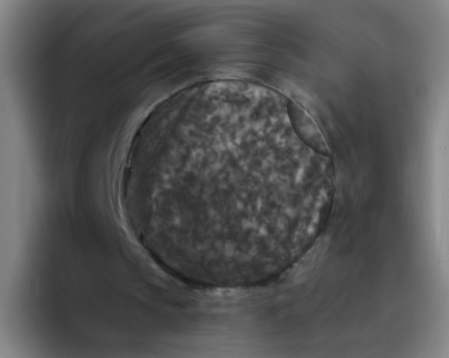 X0000094230145200711161916
