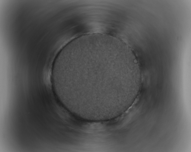 X0000094230146200711161916