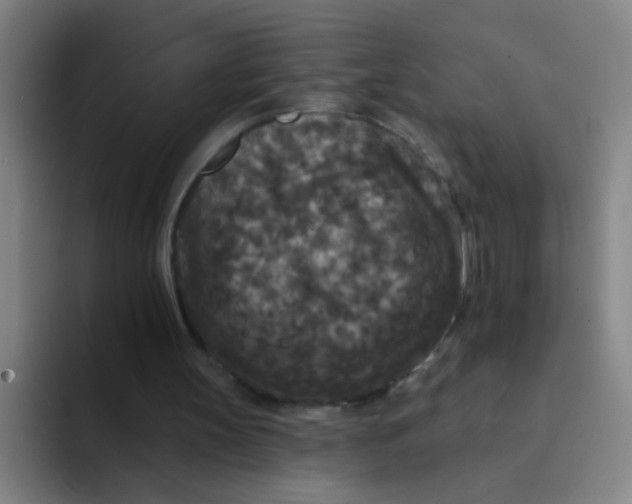 X0000094230147200711161916