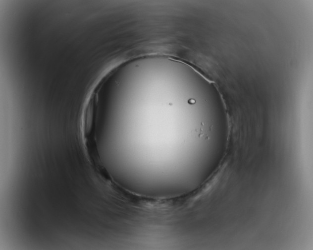 X0000094230148200711161916
